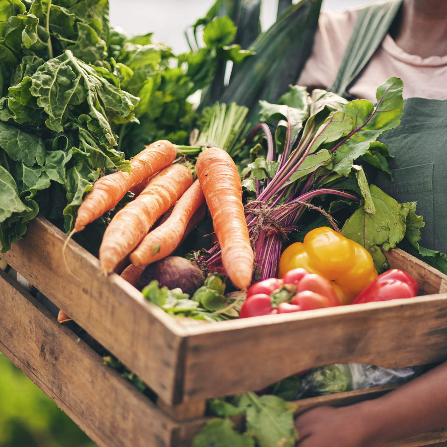 10 tips para evitar el desperdicio de alimentos