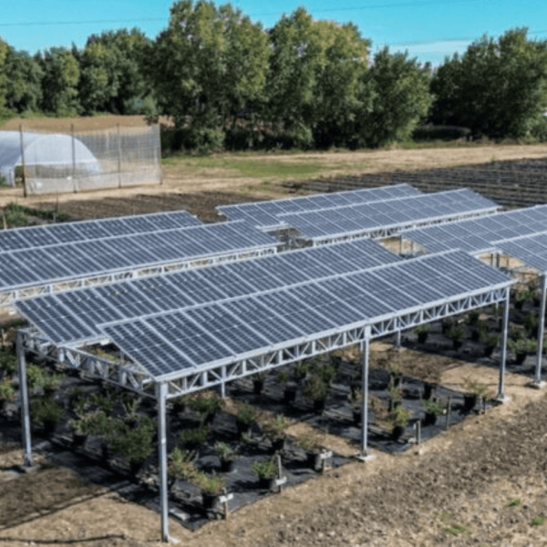 Así es la primera granja solar en Chile