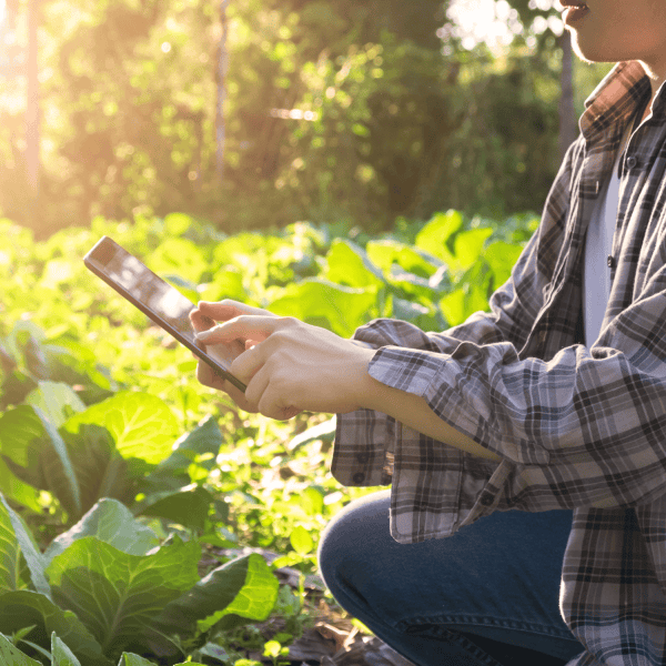 Cogrowers: Tecnología de precisión para todos