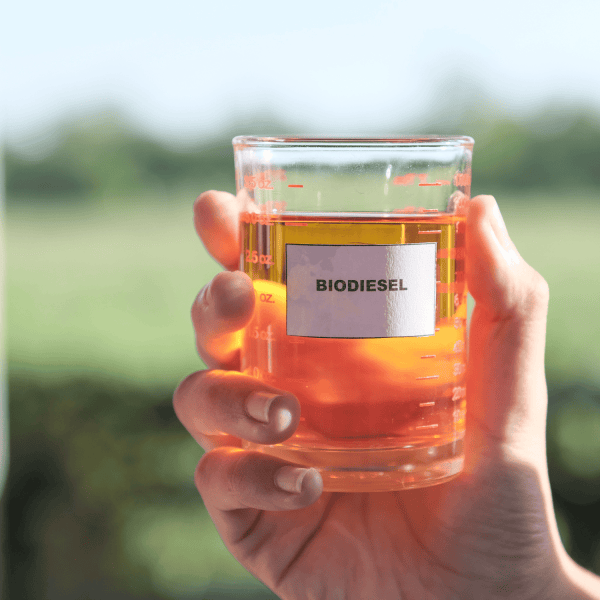 Biodiesel: Qué pasó con el combustible que prometía ser el futuro en Chile