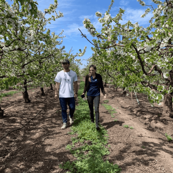 Botanitec Innovación con bioestimulantes en el agro y su certificación como Empresa B