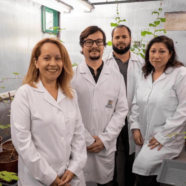 Buscan degradar residuos textiles con bioproducto que permitirá generar compost