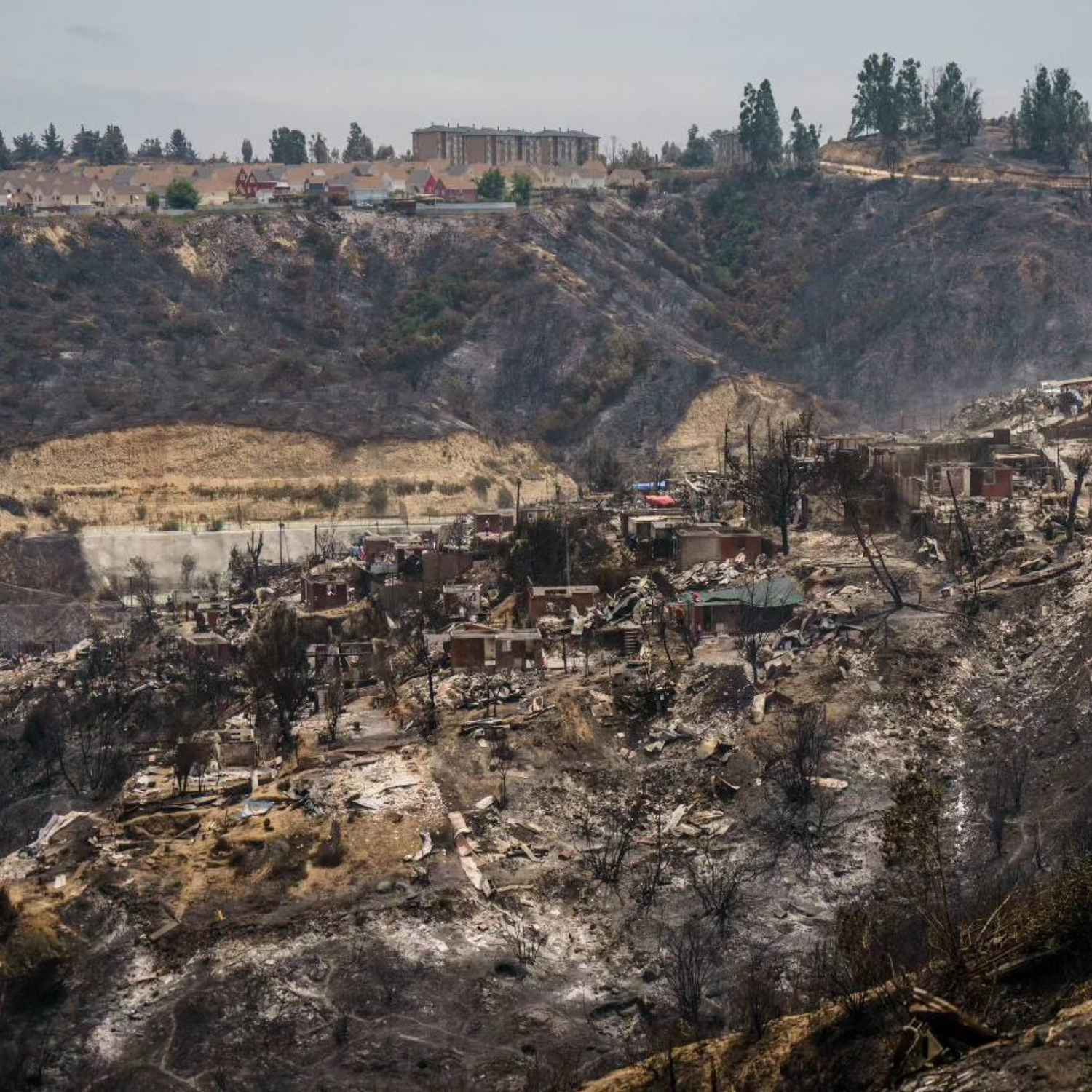 Conoce los lugares donde puedes entregar tus donaciones