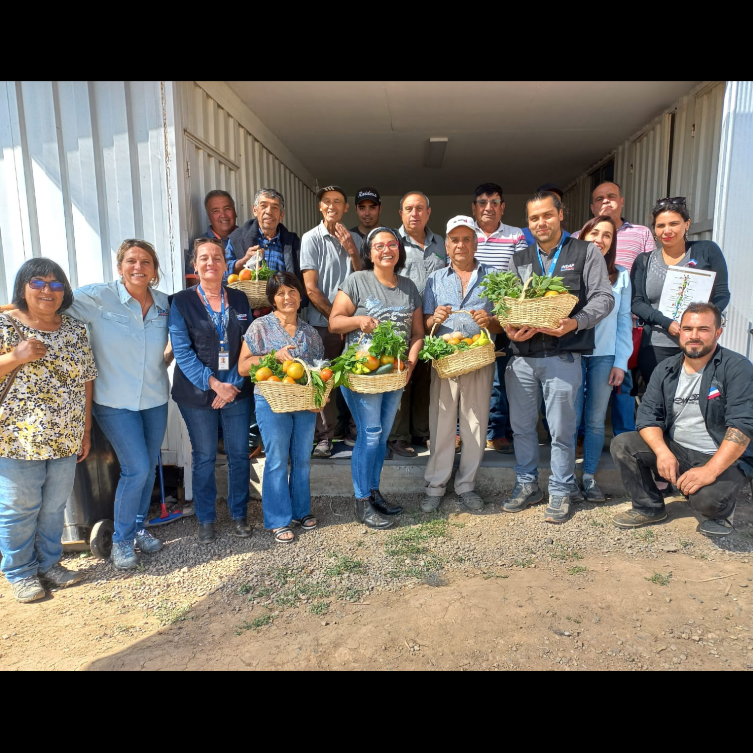 En Quillota inauguran moderna sala para elaboración de hortalizas de cuarta gama