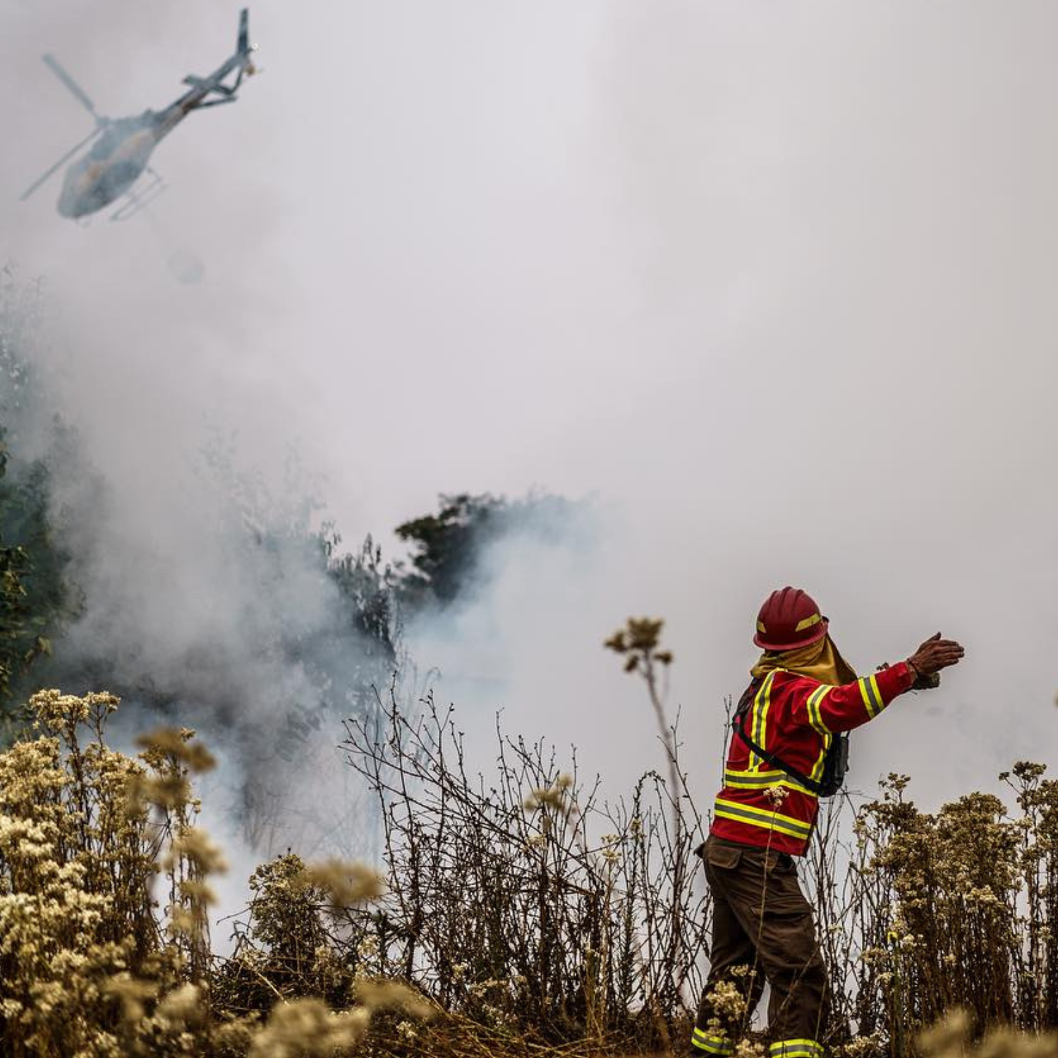 Frutas de Chile compromete apoyo en coordinación con Minagri ante incendios forestales