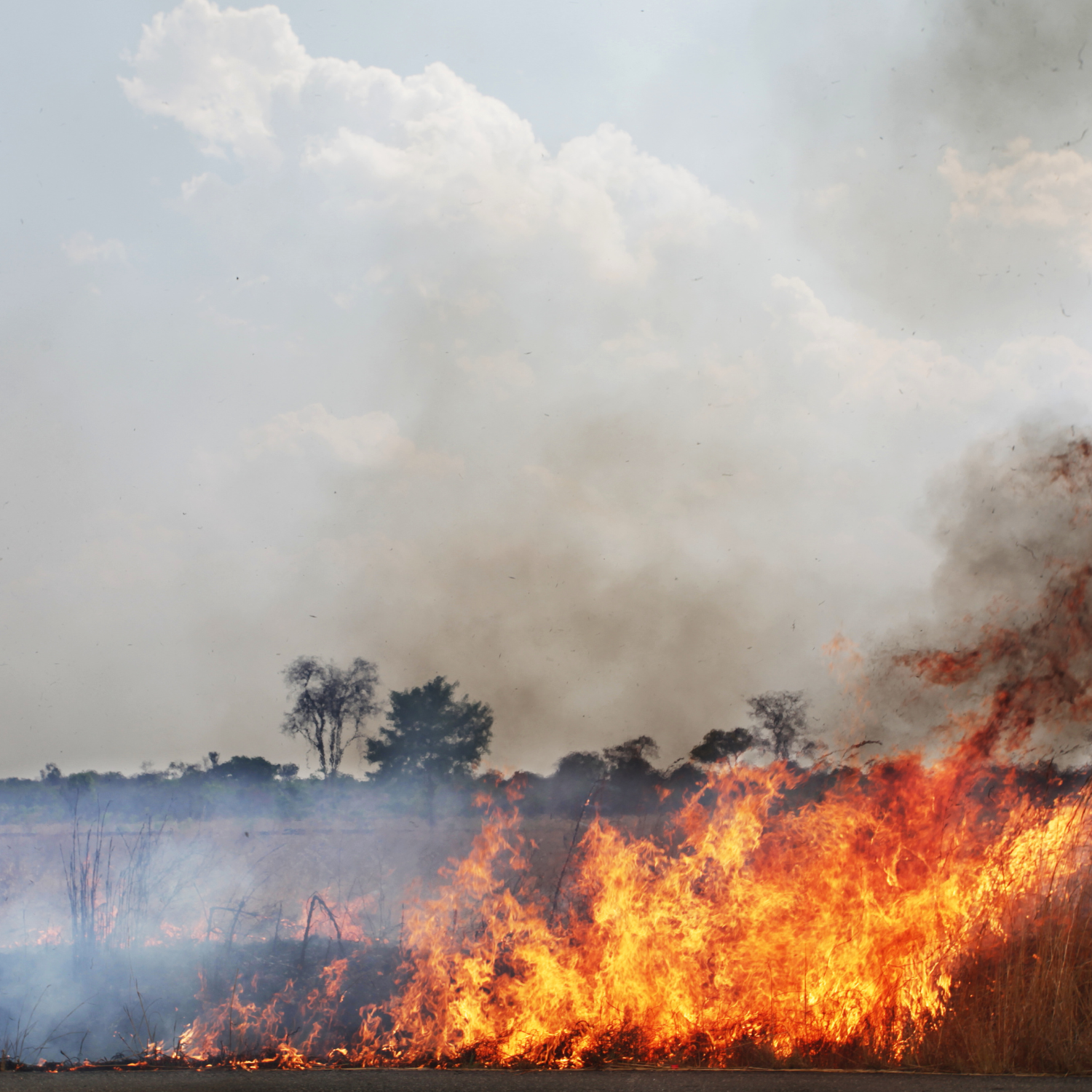 Gases de Efecto Invernadero: Qué son y cómo nos afectan