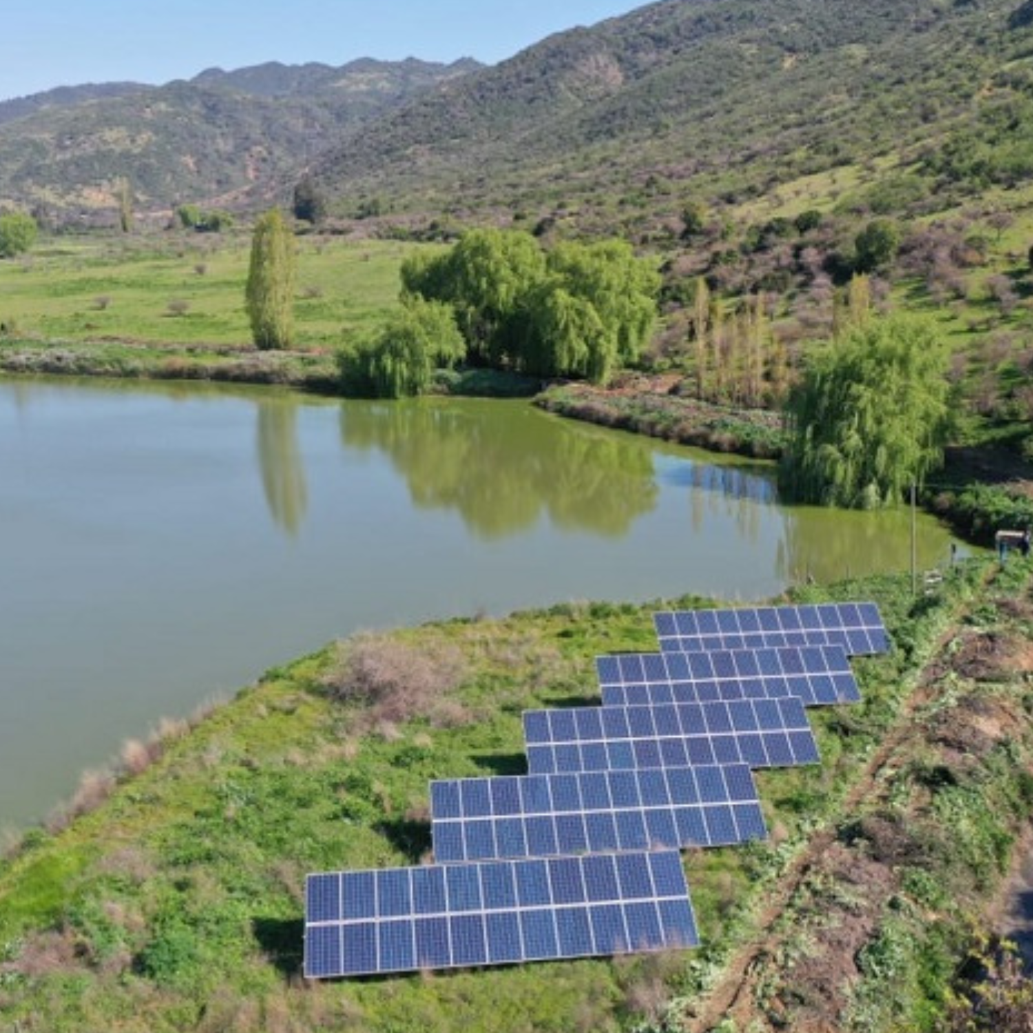Histórica inversión en riego para pequeña agricultura de O’Higgins