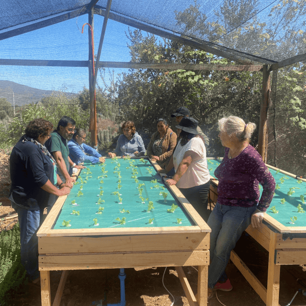 Agricultores aprenden sostenibilidad en la horticultura