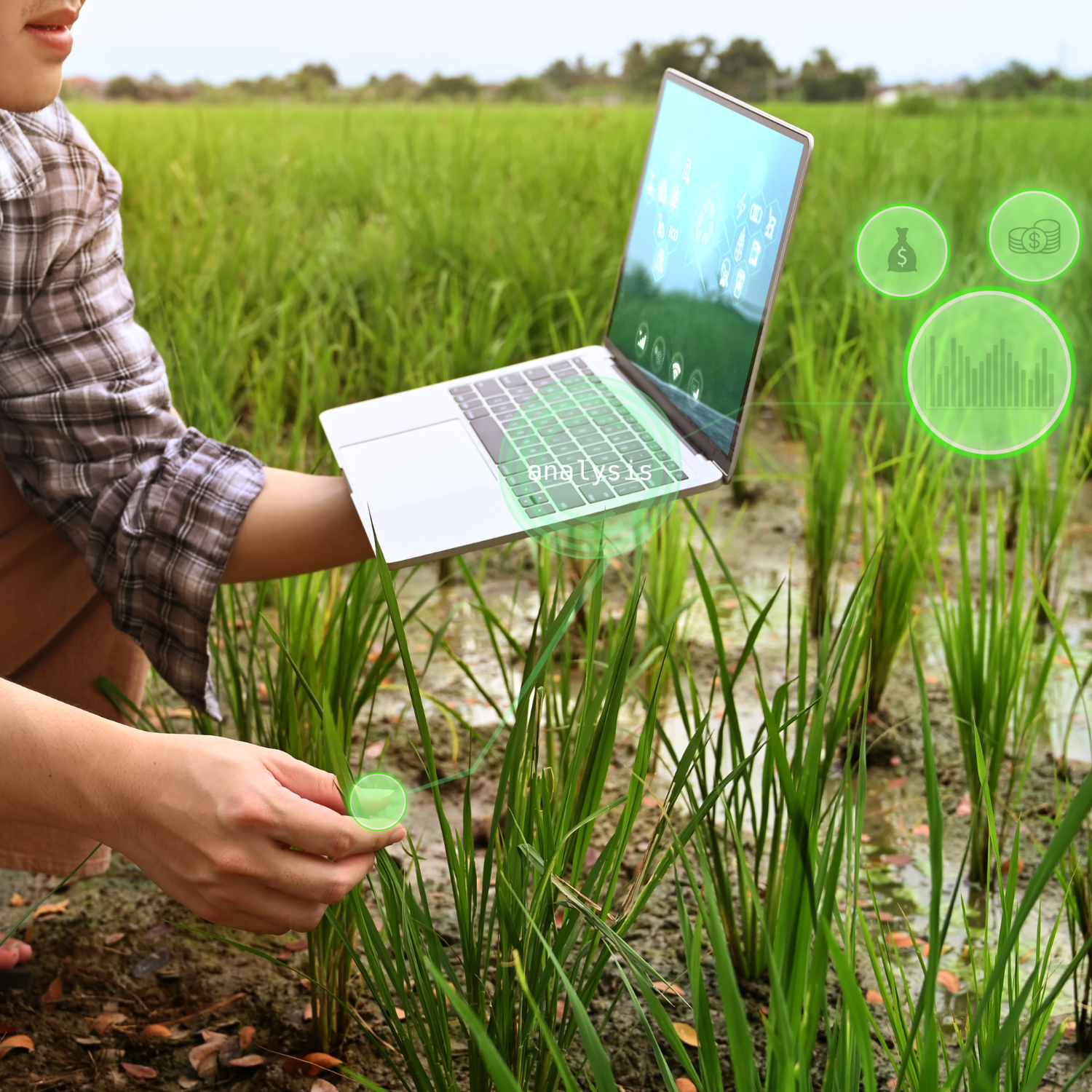 Inteligencia Artificial: Una revolución tecnológica al mundo agrícola