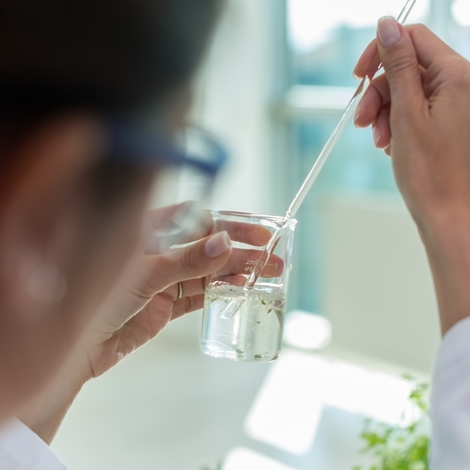 Investigadora chilena busca nutrientes de la orina humana para la recuperación del suelo