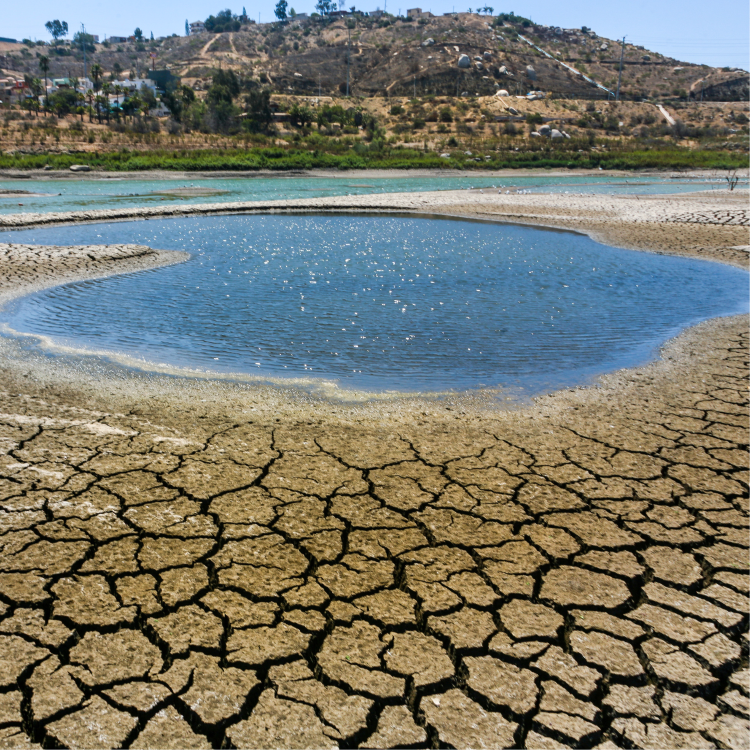 Ley de Cambio Climático Cómo funcionará en la agroindustria