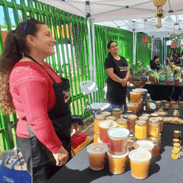 En Catemu inauguran mercado campesino con lo mejor de la producción local