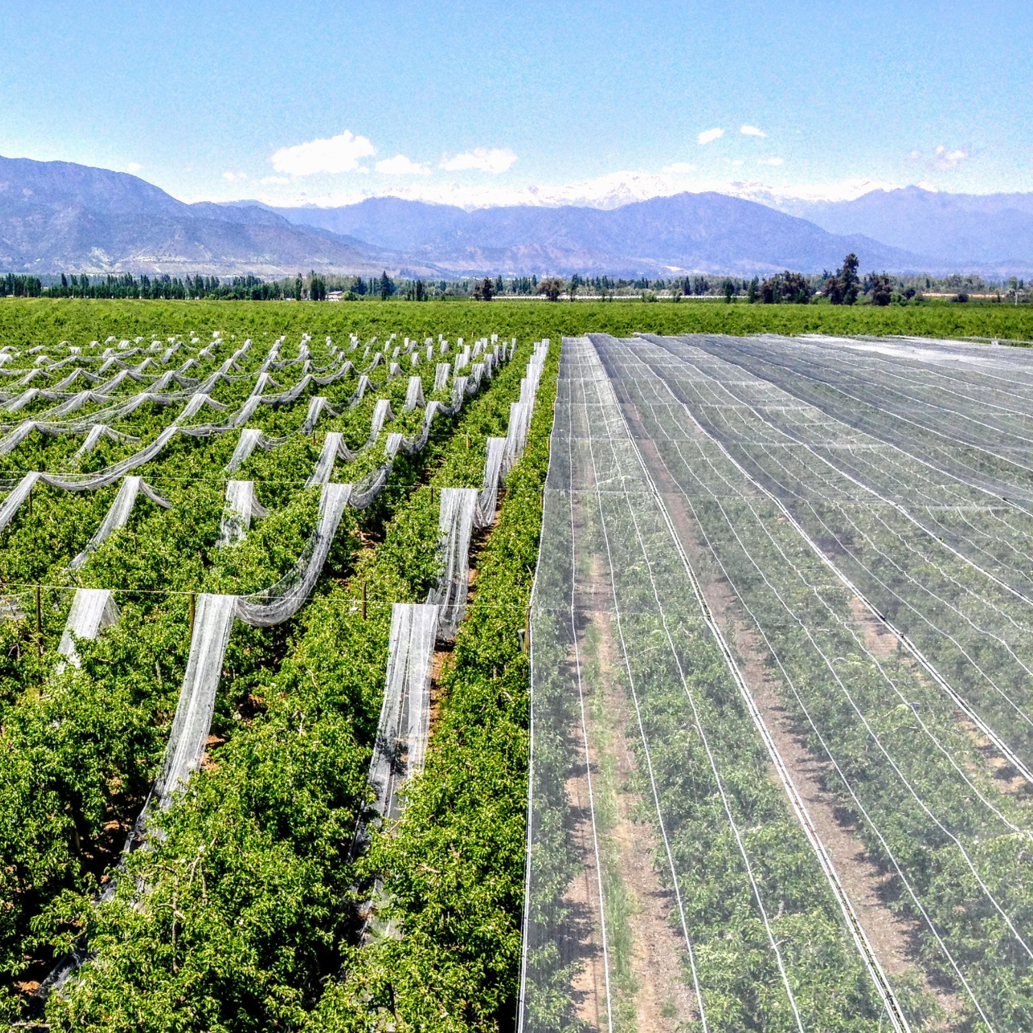 Conoce los sistemas de protección climática Delsantek