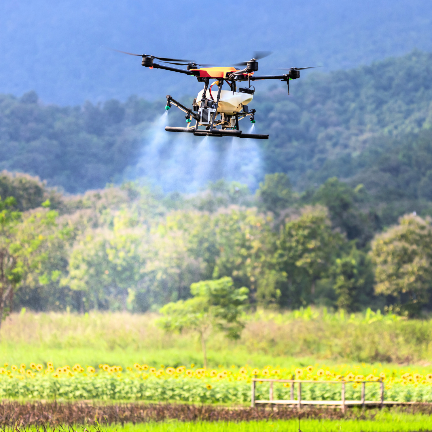 Nuevas tecnologías en el agro “Puedes asegurar la independencia alimentaria de una familia"