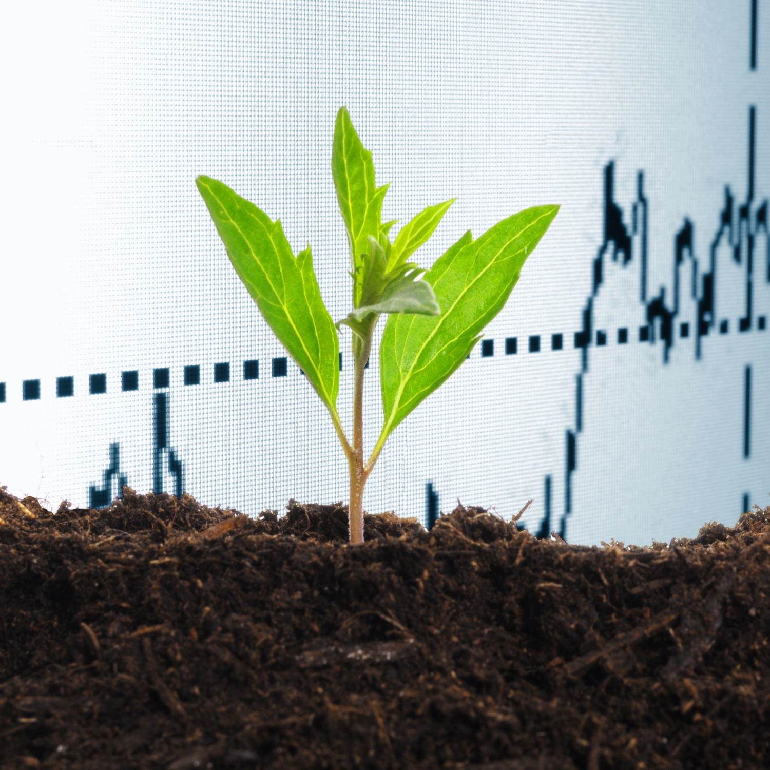 Post GreenNetwork – 2024-07-12T171433.124