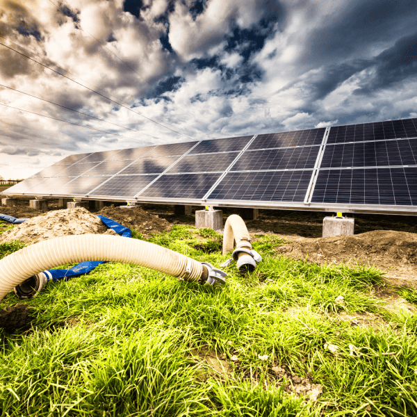 Post GreenNetwork – 2024-08-01T105354.729