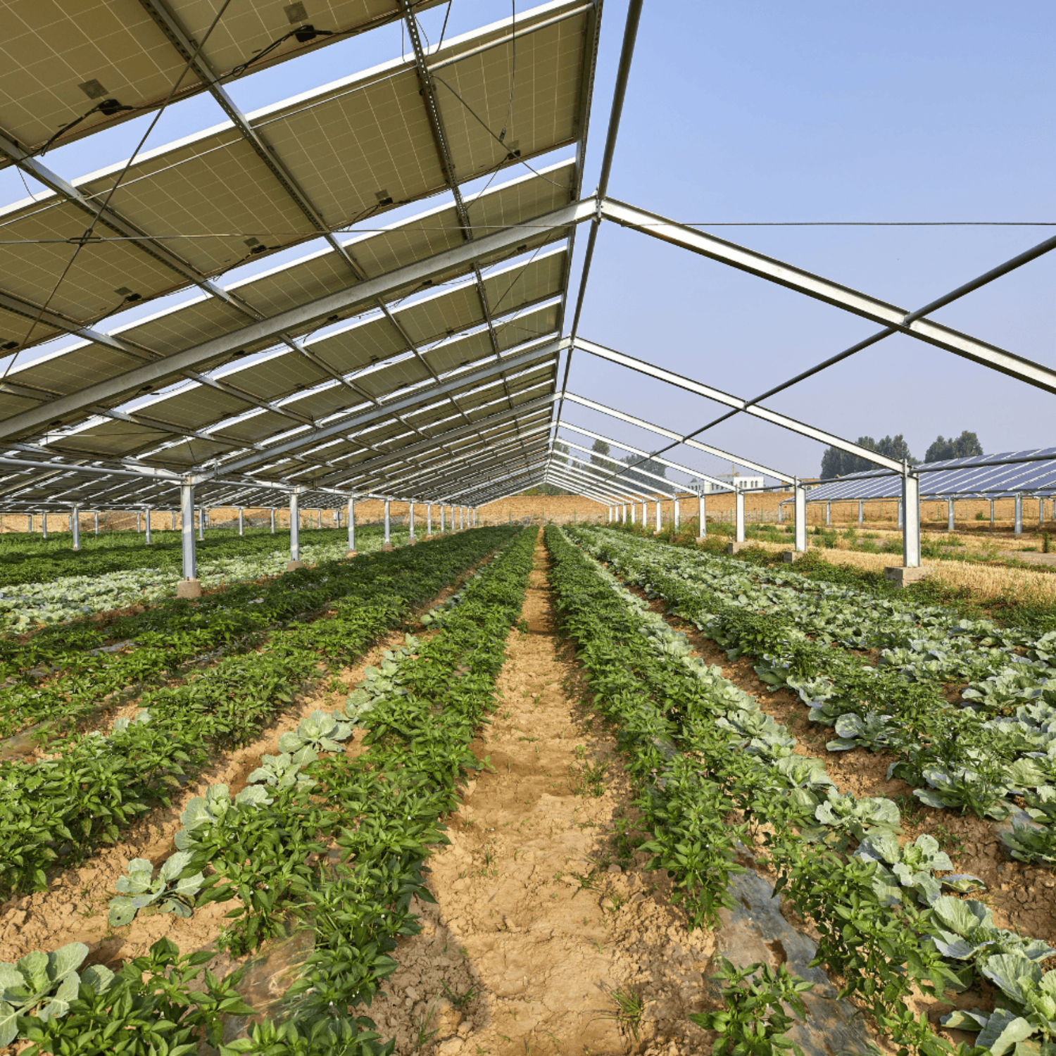 Post GreenNetwork – 2024-09-12T120324.676