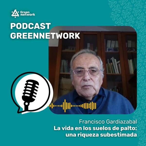 Post GreenNetwork – 2024-12-15T220900.993