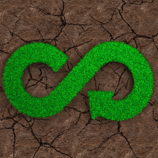 Post GreenNetwork (21)