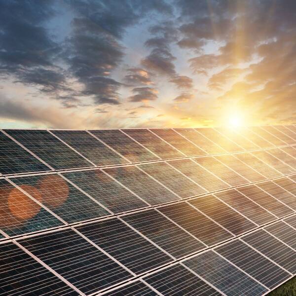 Post GreenNetwork (3)