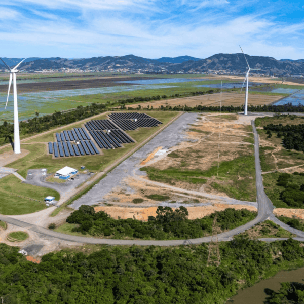 Post GreenNetwork (78)