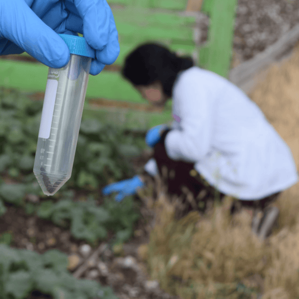 Innovando con insectos en la economía circular