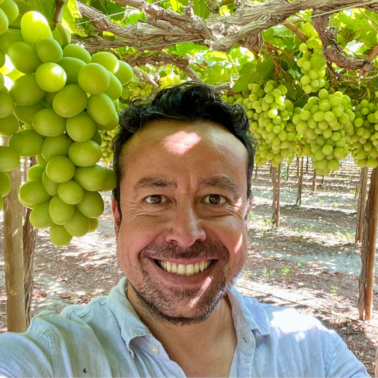 Video Podcast: Agricultura Regenerativa