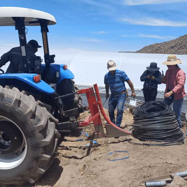 Primer sistema de riego subterráneo en Putre ahorra hasta un 60% de agua
