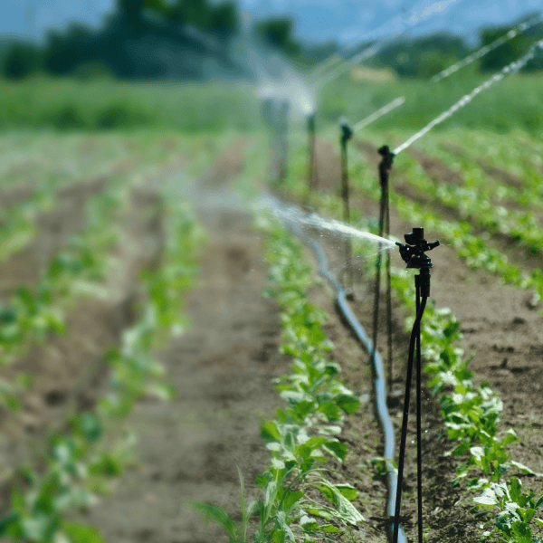 CNR anuncia nuevo concurso para proyectos de Organizaciones de Usuarios de Aguas