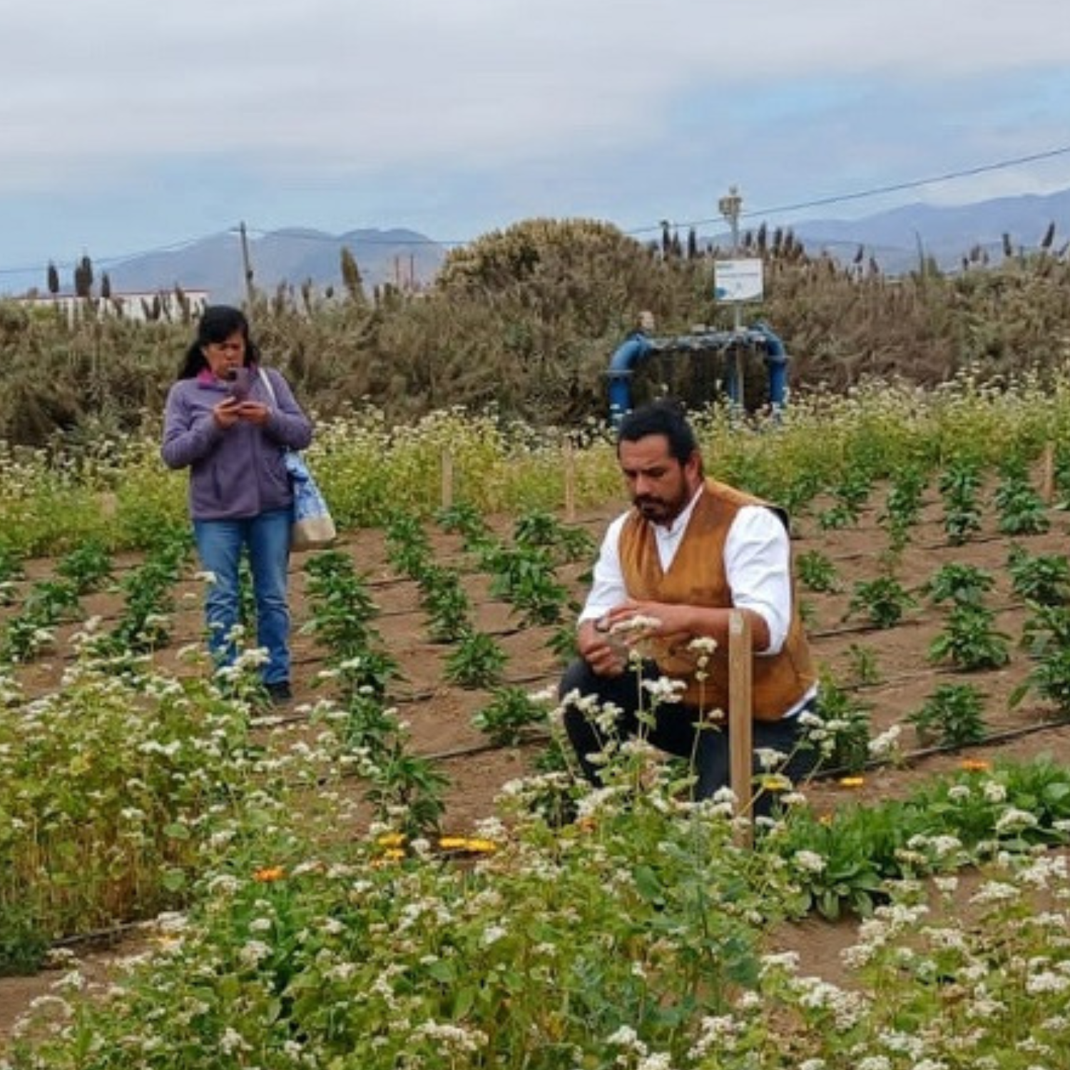 Agricultores del Elqui se capacitan en manejo y gestión de la biodiversidad