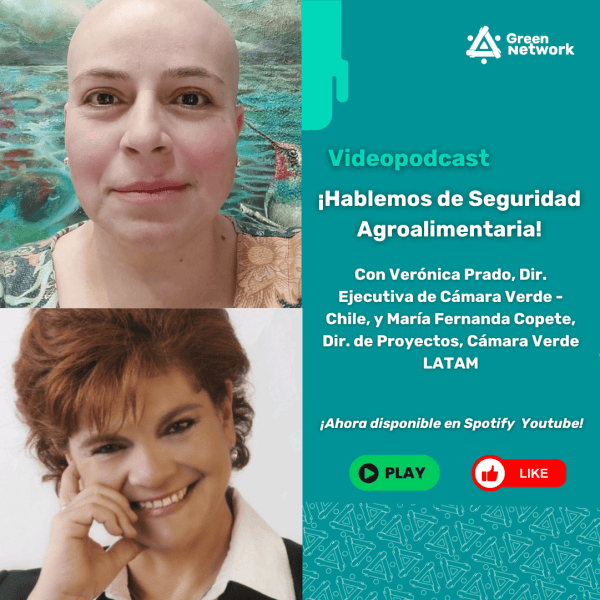 Título secundario (11)