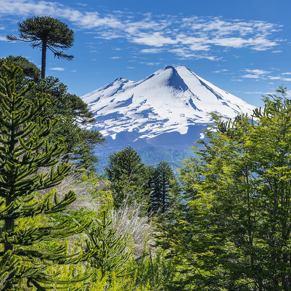 Tras 12 años de gestión se crea el Servicio de Biodiversidad y Áreas Protegidas