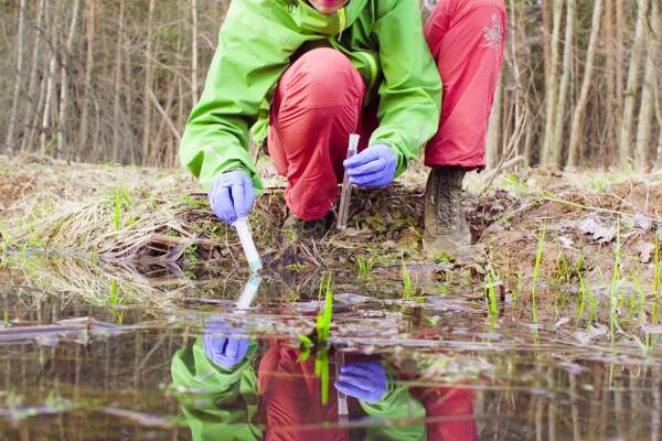 Universidad de Valparaíso imparte la primera carrera de Ecología en Chile